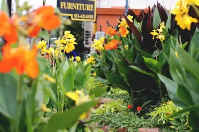 a display of colorful flowers in a garden at Findlay Suites Explore OTR with an Outdoor Deck in Cincinnati