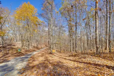 a dirt road in the middle of a forest at Shared Pond and Trails Rosedale Cottage! in Rosedale