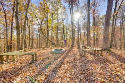 a row of picnic tables in the woods at Shared Pond and Trails Rosedale Cottage! in Rosedale