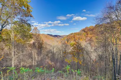 a view of a forest of trees in the fall at Shared Pond at Retreat in Rosedale! in Rosedale