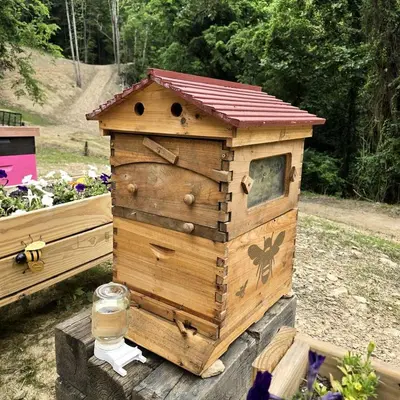 a wooden bird house sitting on top of a stump at Remote Mountain A-Frame with BBQ Perfect for Nature Lovers in West Virginia in Charleston