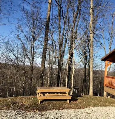a wooden picnic table in front of a forest at Authentic Stunning Cabin Rental with Private Jacuzzi near Huntington, West Virginia in Genoa