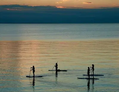 four people on paddle boards in the water at sunset at Rustic Lakeside Vacation Rental with Beach Access in Vermilion, Ohio in Vermilion