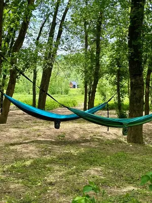 a hammock hanging from two trees in a forest at River's Edge at Three Suns Cabins in Stanton