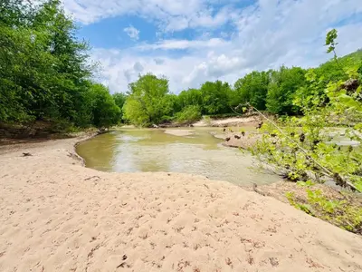 a river next to a sandy beach with trees at River Rascal at Three Suns Cabins in Stanton
