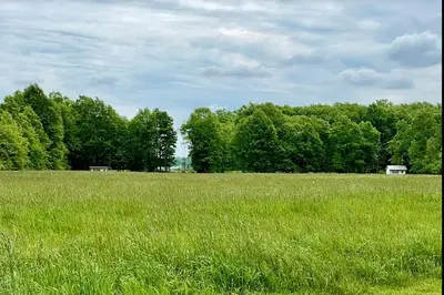 a field of green grass with trees in the background at Charming Cabin Surrounded by Woods and Fields in Oberlin, Ohio in Oberlin