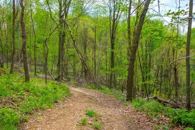 a dirt trail in the woods with trees at Cabin with Trail Access to Mohican River in Brinkhaven