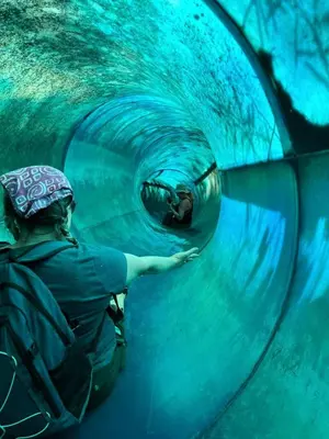 a person in a tunnel in an aquarium at Stunning Tree House Tucked Away Among the Trees near Germantown, Kentucky in Germantown
