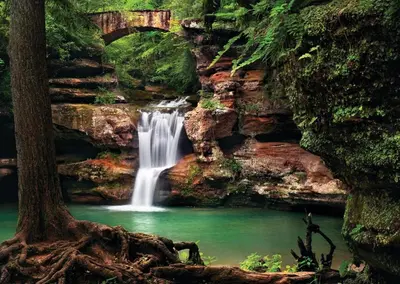 a waterfall with a bridge and a pool of water at Burton Ridge Cabin in South Bloomingville