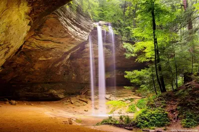 a waterfall in the middle of a forest at Burton Ridge Cabin in South Bloomingville