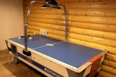 a ping pong table in front of a wooden wall at Pet-Friendly Tree Cabin by Tappan Lake with Lofted Space in Ohio in Deersville