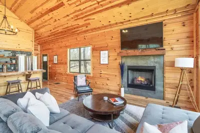 a living room with a couch and a fireplace at Fern Woods A modern take on Hocking Hills cabins in McArthur