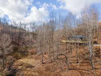 a tree house in the middle of a forest at Primrose - Cave Run Lake OR Red River Gorge KY in Wellington