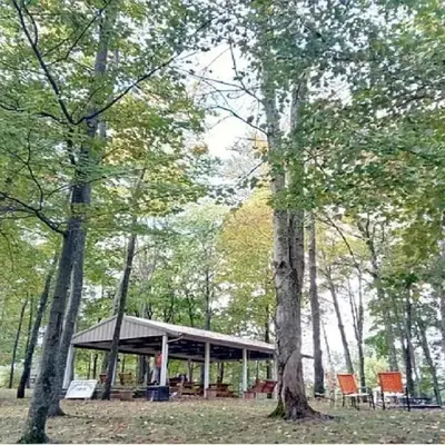 The Evergreen Cabin