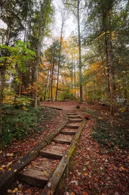 a path in the woods with leaves on the ground at Waterfront A- Frame with Dock, Canoe + Kayaks in Rockbridge