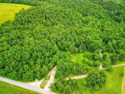 an aerial view of a road in the middle of a forest at Romantic Logan Cabin with Private Year Round Hot Tub Near Hocking Hills in Logan