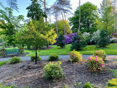 a park with flowers and a tree and a bench at Vintage, Mid-Century Suite above Antique Store in Wakeman