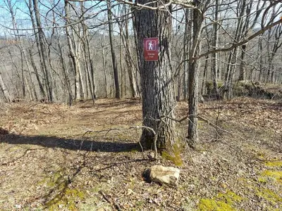 a red sign on a tree in the woods at The Frontier - An Amish Built Deluxe Cabin in Genoa