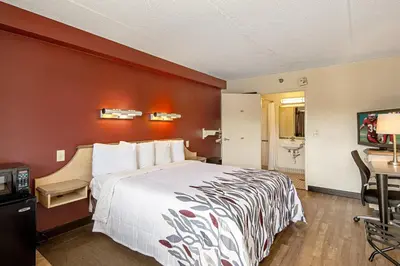 a hotel room with a bed and a desk at Red Roof Inn Canton in Canton