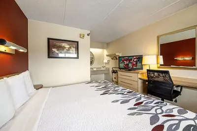 a hotel room with a large bed and a desk at Red Roof Inn Toledo University in Toledo