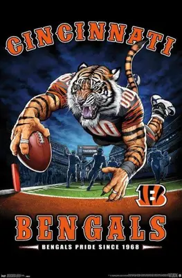 a poster of a tiger catching a football at Spacious Industrial split level with a Balcony in Cincinnati