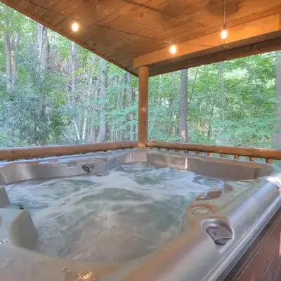 Grapevine Cabin by Amish Country Lodging