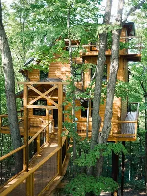a tree house in the woods with a deck at Treehouse #2 by Amish Country Lodging in Millersburg