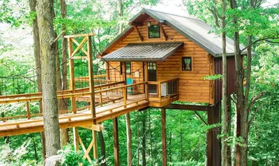 a tree house in the middle of the forest at Treehouse #5 by Amish Country Lodging in Millersburg