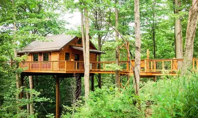 a tree house in the middle of the forest at Treehouse #5 by Amish Country Lodging in Millersburg